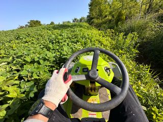 4륜구동경운기님의 감 · 병해충상담 작성글 사진