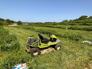 4륜구동경운기님의 감 · 병해충상담 작성글 사진