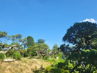 선식물원.선조경.이선님의 팜모닝 · 출석 작성글 사진