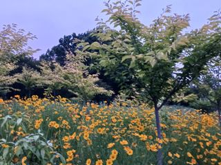 신현철님의 자유주제 · 자유게시판 작성글 사진