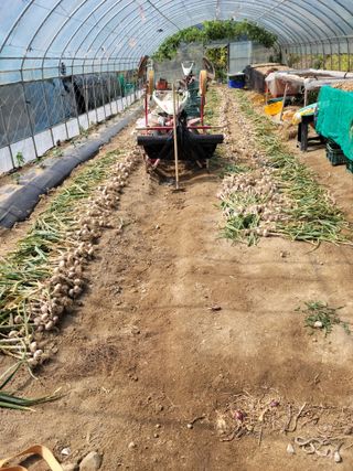 다소농원님의 자유주제 · 자유게시판 작성글 사진