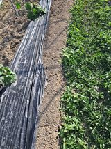 팜모닝 자유주제·사진전 게시글 이미지