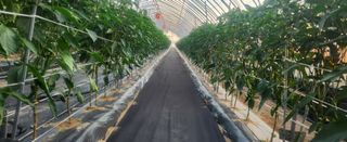 장기수님의 6월 농사계획🧑🏻‍🌾 · 참여글 작성글 사진