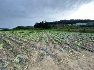 호저*윤정님의 6월 농사계획🧑🏻‍🌾 · 참여글 작성글 사진