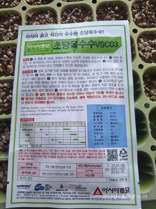 로즈마리님의 옥수수 · 영농일지 작성글 사진