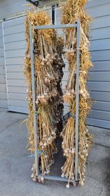 팜모닝 자유주제·자유게시판 게시글 이미지