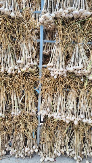 김중언님의 자유주제 · 자유게시판 작성글 사진