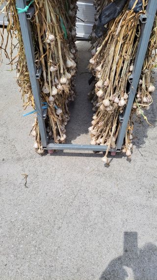 김중언님의 자유주제 · 자유게시판 작성글 사진