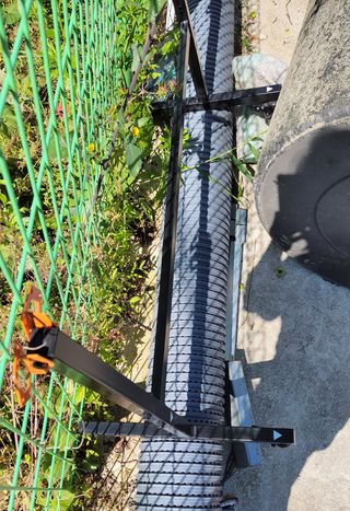 김중언님의 자유주제 · 자유게시판 작성글 사진