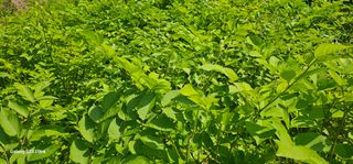 해오름달님의 자유주제 · 자유게시판 작성글 사진