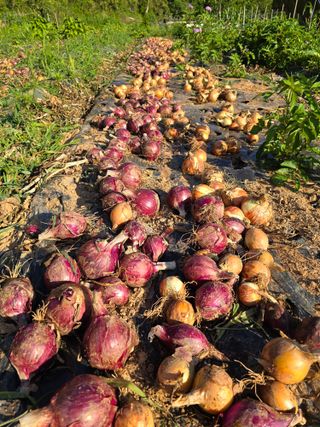 김세리님의 자유주제 · 자유게시판 작성글 사진