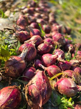 김세리님의 자유주제 · 자유게시판 작성글 사진