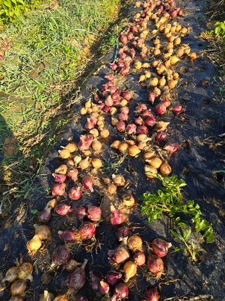 김세리님의 자유주제 · 자유게시판 작성글 사진