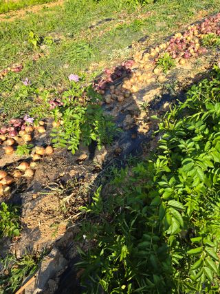 김세리님의 자유주제 · 자유게시판 작성글 사진