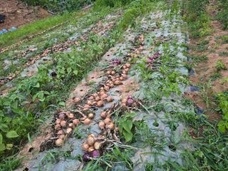 김세리님의 자유주제 · 자유게시판 작성글 사진