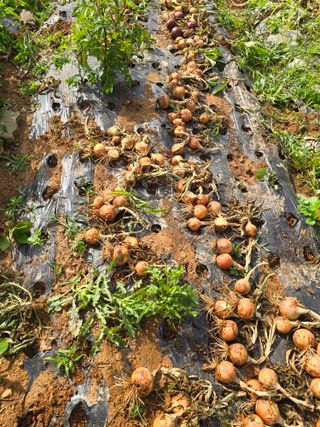 김세리님의 자유주제 · 자유게시판 작성글 사진