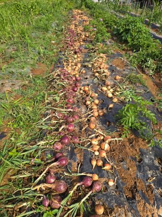김세리님의 자유주제 · 자유게시판 작성글 사진