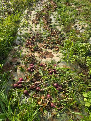 김세리님의 자유주제 · 자유게시판 작성글 사진