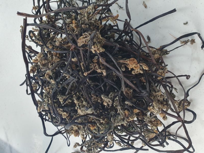 한승우님의 장터 판매 상품 [고사리 100g] 첨부 사진