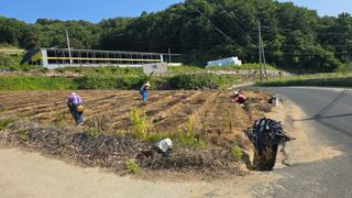 산들바람님의 기타작물 · 영농일지 작성글 사진