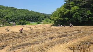 산들바람님의 기타작물 · 영농일지 작성글 사진