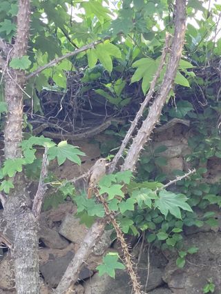 두릅나무20315님의 자유주제 · 자유게시판 작성글 사진