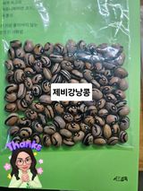 팜모닝 자유주제·자유게시판 게시글 이미지