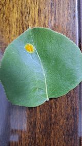 팜모닝 농사, 무엇이든 물어보세요!·참여글 게시글 이미지