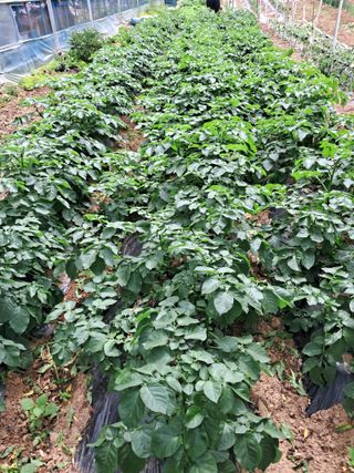 최한기님의 자유주제 · 자유게시판 작성글 사진