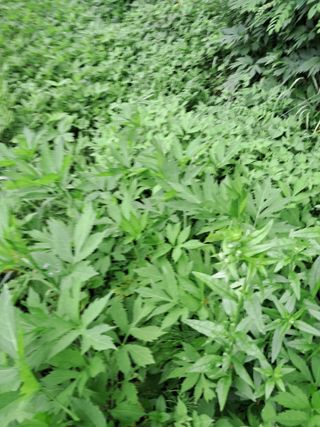 최한기님의 자유주제 · 자유게시판 작성글 사진