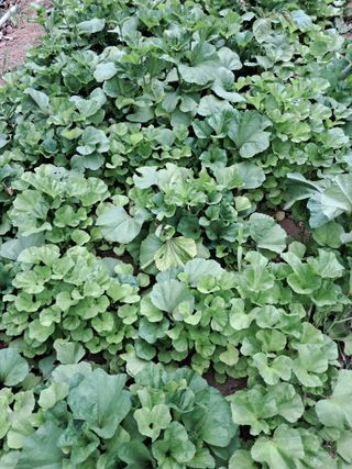 최한기님의 자유주제 · 자유게시판 작성글 사진