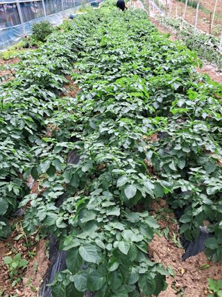 최한기님의 자유주제 · 자유게시판 작성글 사진