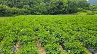 산들바람님의 자유주제 · 사진전 작성글 사진