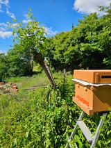 팜모닝 자유주제·자유게시판 게시글 이미지