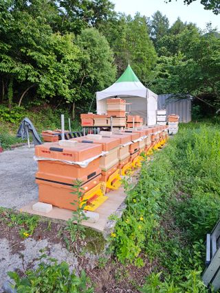 춘천바람개비님의 자유주제 · 자유게시판 작성글 사진