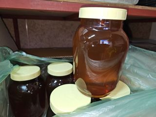 춘천바람개비님의 자유주제 · 자유게시판 작성글 사진