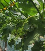 팜모닝 자유주제·자유게시판 게시글 이미지