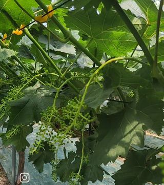 터골농장님의 자유주제 · 자유게시판 작성글 사진