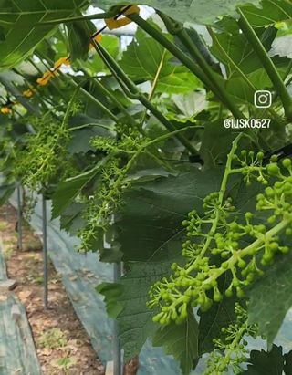 터골농장님의 자유주제 · 자유게시판 작성글 사진