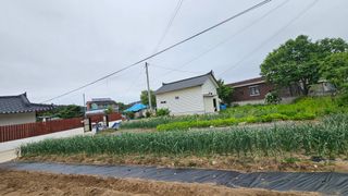 요리하는 농부님의 자유주제 · 건의해요 작성글 사진