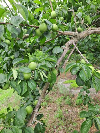 정백영님의 자유주제 · 자유게시판 작성글 사진