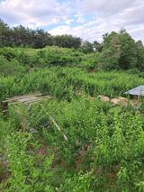 팜모닝 6월 농사계획🧑🏻‍🌾·참여글 게시글 이미지