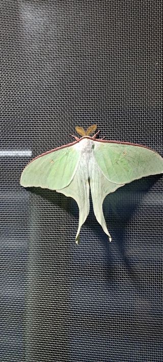자연애 대풍농장님의 자유주제 · 사진전 작성글 사진