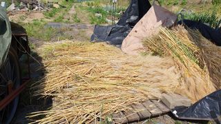 황의성님의 자유주제 · 자유게시판 작성글 사진