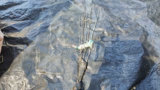 황의성님의 자유주제 · 자유게시판 작성글 사진