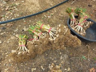 느랫골농장 가족님의 자유주제 · 자유게시판 작성글 사진