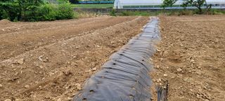 吳興祚님의 자유주제 · 자유게시판 작성글 사진