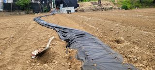 吳興祚님의 자유주제 · 자유게시판 작성글 사진