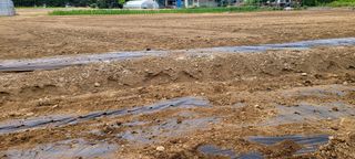 吳興祚님의 자유주제 · 자유게시판 작성글 사진