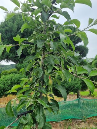 연산나무농장님의 자유주제 · 자유게시판 작성글 사진